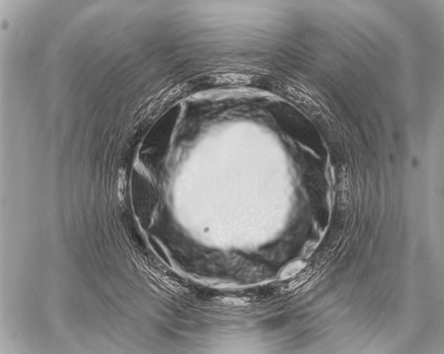 X0000059100649200510211633