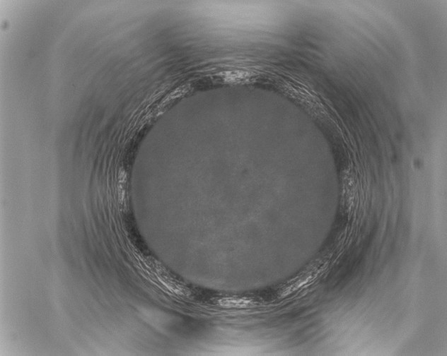 X0000059100650200510211633