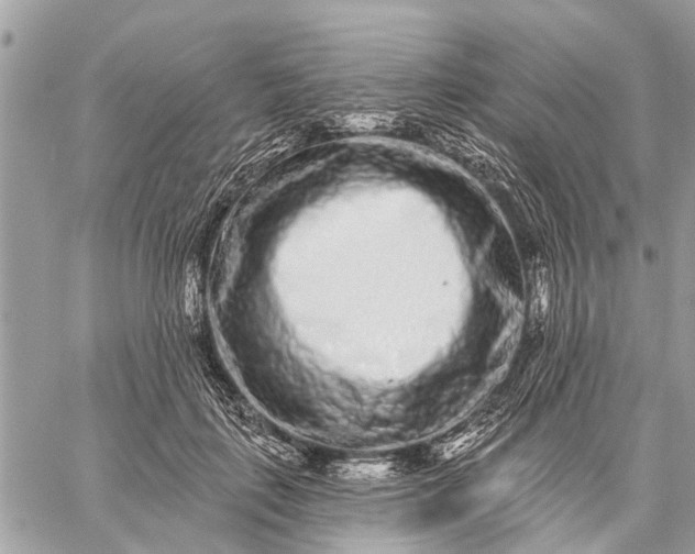 X0000059100651200510211633