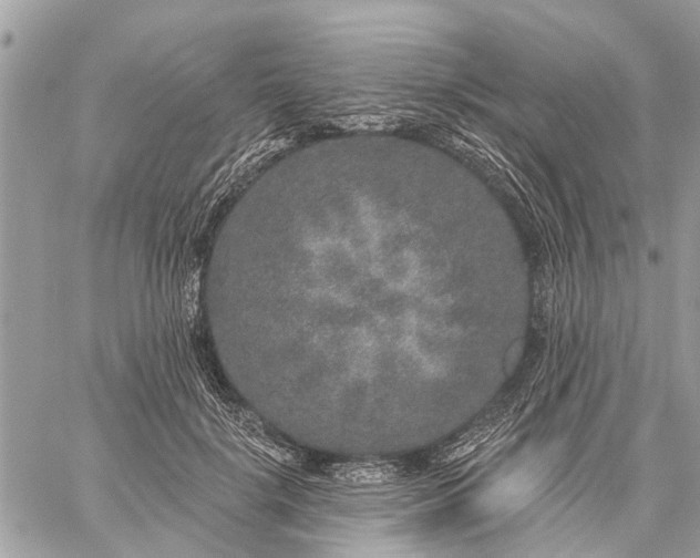 X0000059100652200510211633