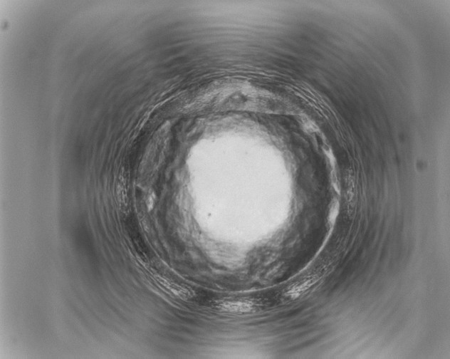 X0000059100653200510211633