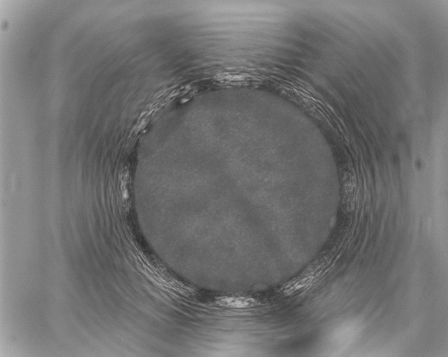 X0000059100654200510211633