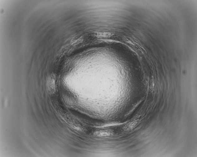 X0000059100655200510211634