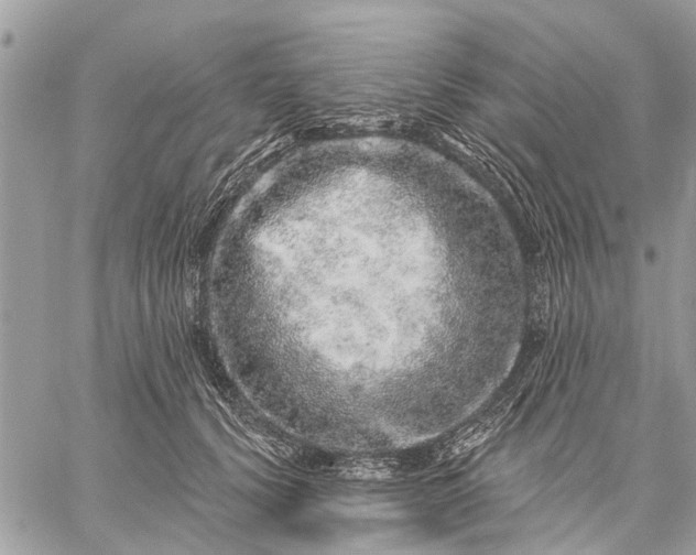 X0000059100656200510211634