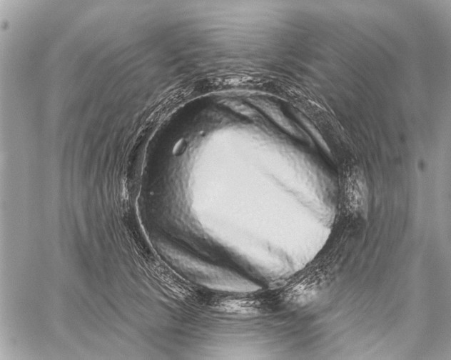 X0000059100657200510211634