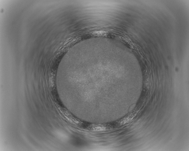 X0000059100658200510211634