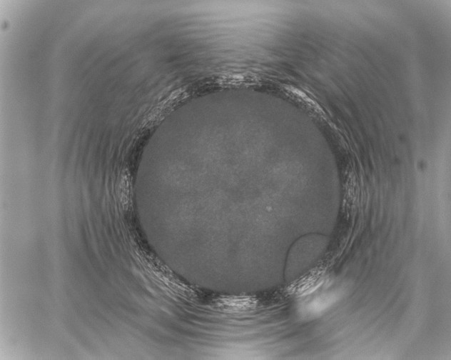 X0000059100659200510211634