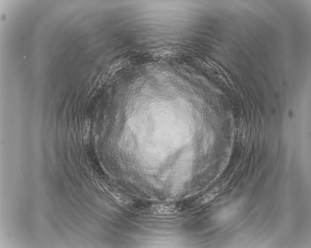 X0000059100660200510211634