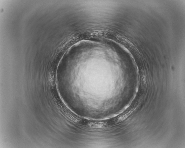 X0000059100661200510211634