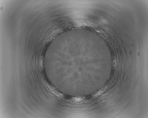 X0000059100662200510211634