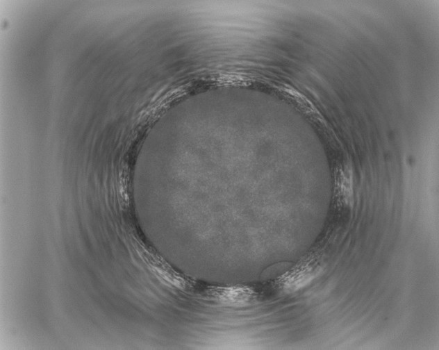 X0000059100663200510211634