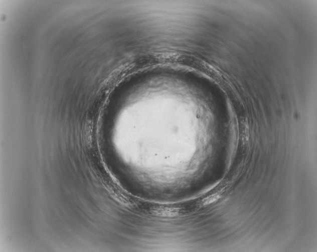 X0000059100664200510211634