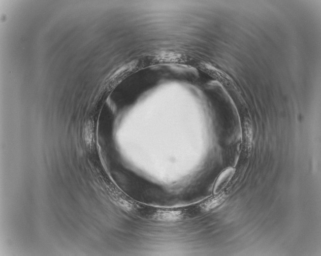 X0000059100665200510211634