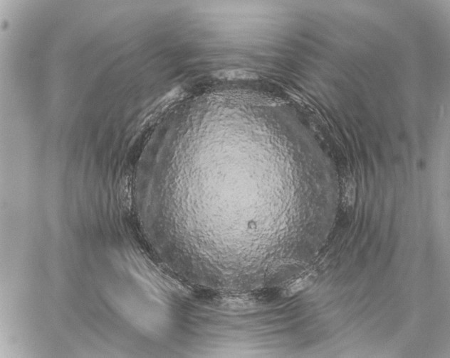 X0000059100666200510211634