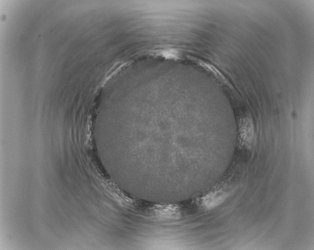 X0000059100667200510211634