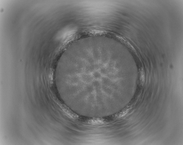 X0000059100668200510211634