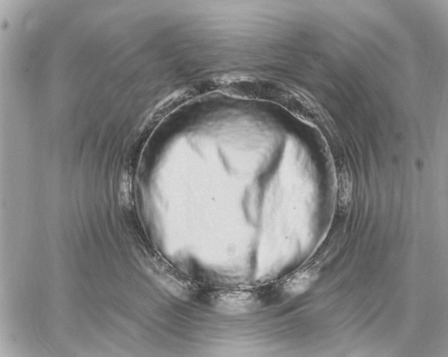 X0000059100669200510211634