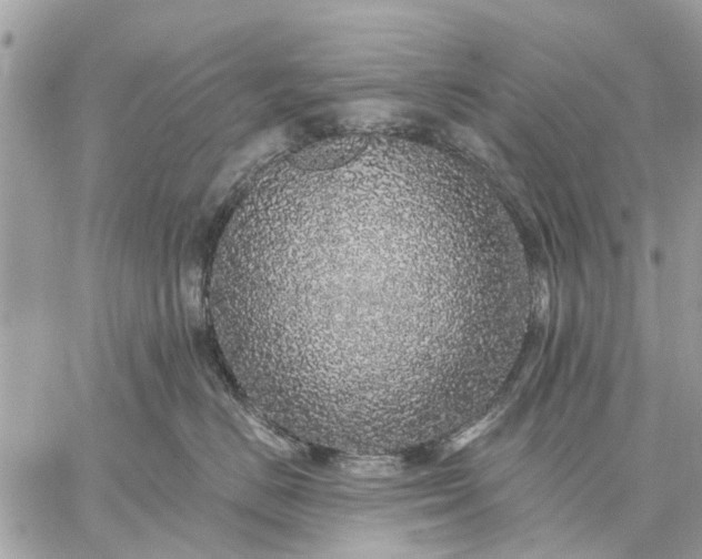 X0000059100670200510211634