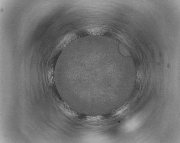 X0000059100671200510211634