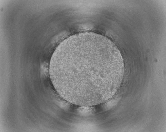 X0000059100672200510211634