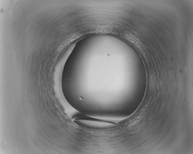 X0000059100673200510211633