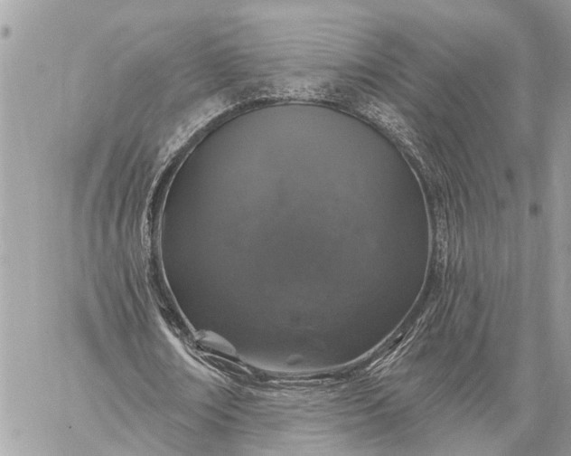 X0000059100674200510211633