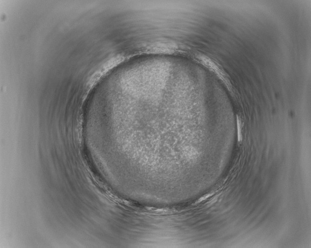 X0000059100675200510211633