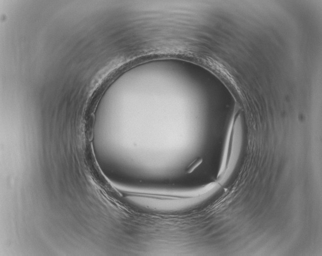 X0000059100676200510211633