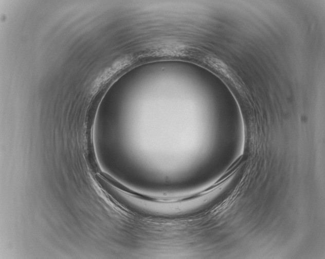 X0000059100677200510211633