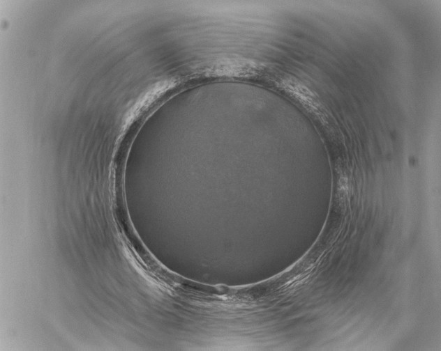 X0000059100678200510211633