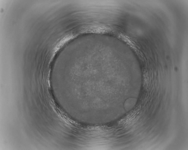 X0000059100679200510211633