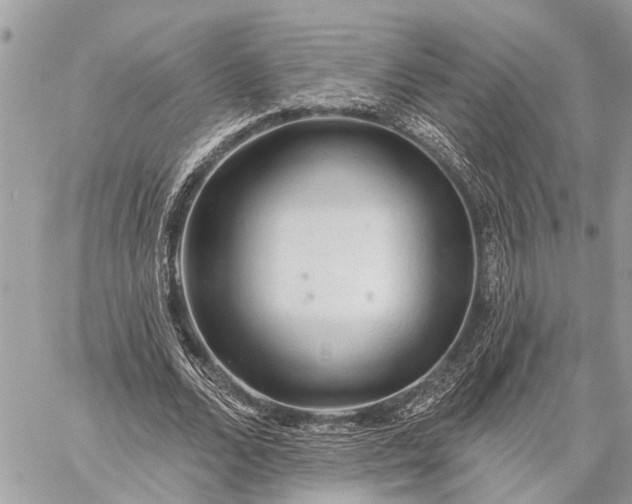 X0000059100680200510211633