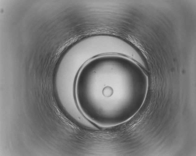 X0000059100681200510211633