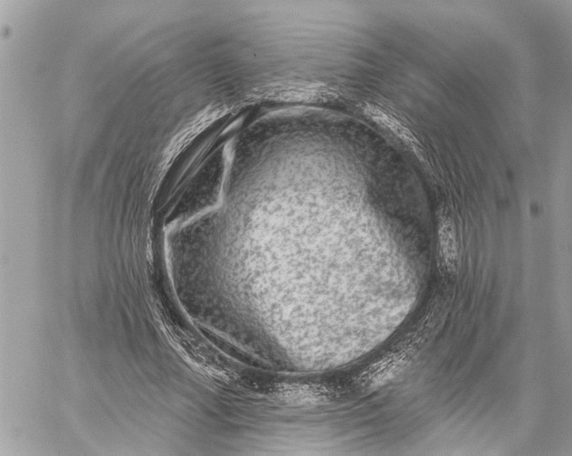 X0000059100682200510211633