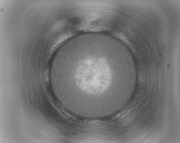 X0000059100683200510211633