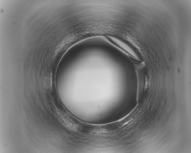 X0000059100685200510211633