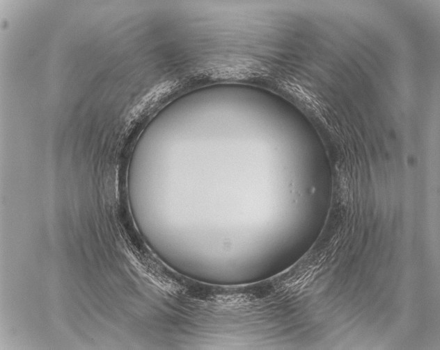 X0000059100686200510211633