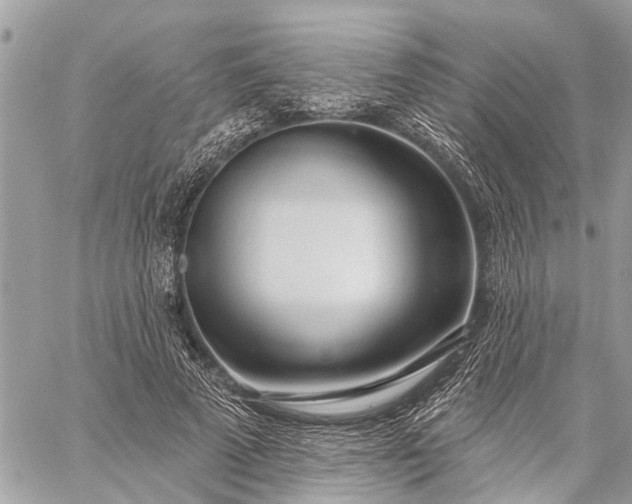 X0000059100689200510211633