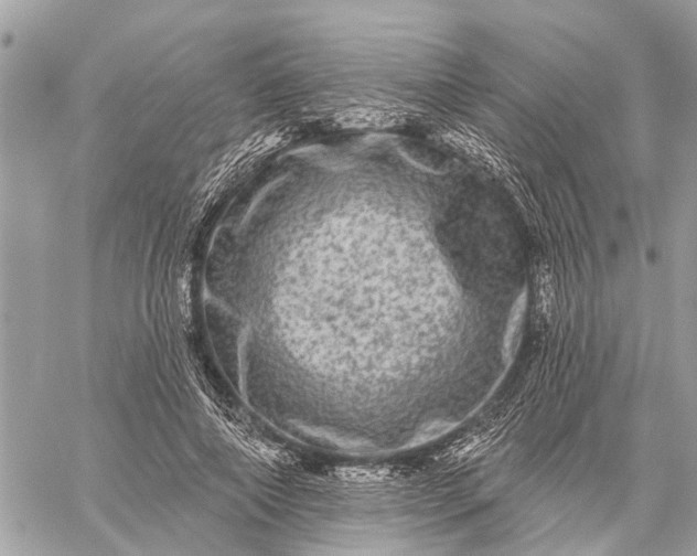 X0000059100690200510211633