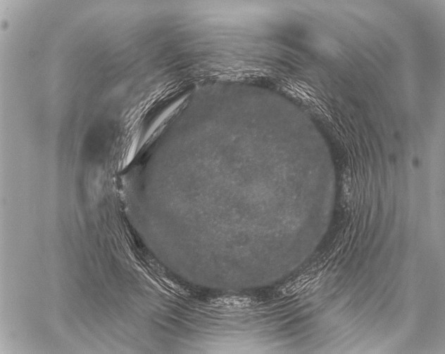 X0000059100691200510211633