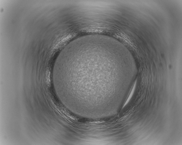 X0000059100692200510211633