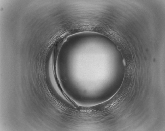 X0000059100693200510211633