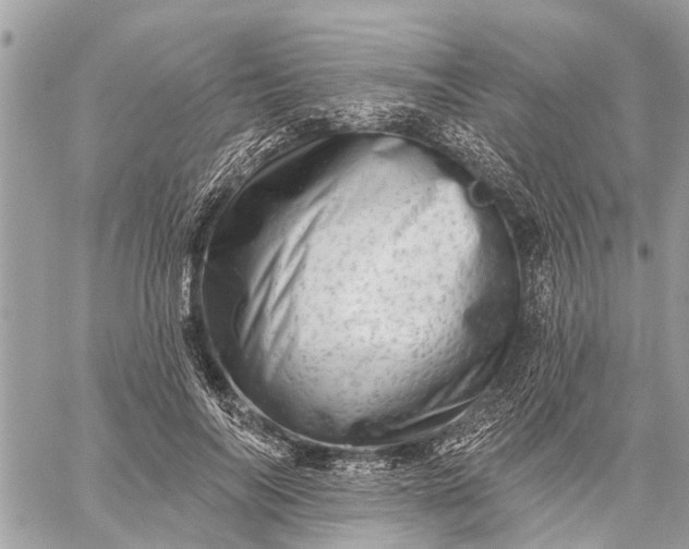 X0000059100694200510211633