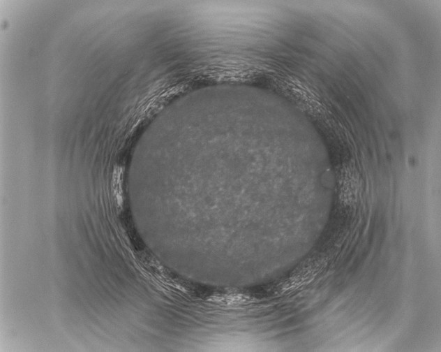 X0000059100695200510211633