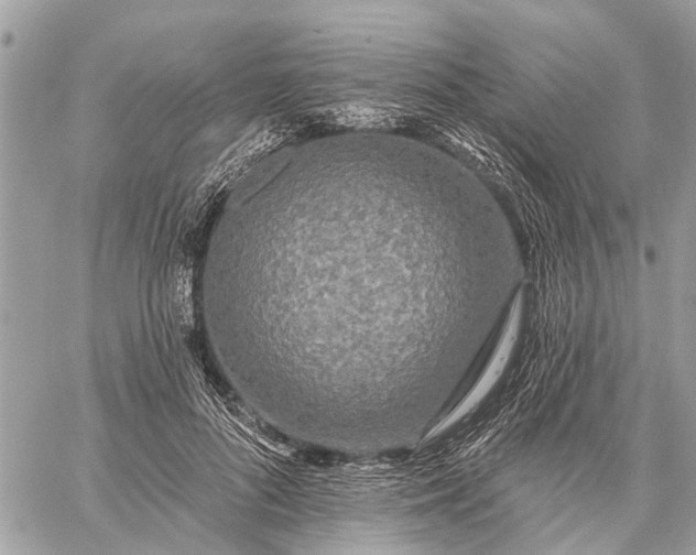 X0000059100696200510211633