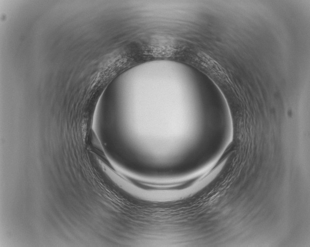 X0000059100697200510211633