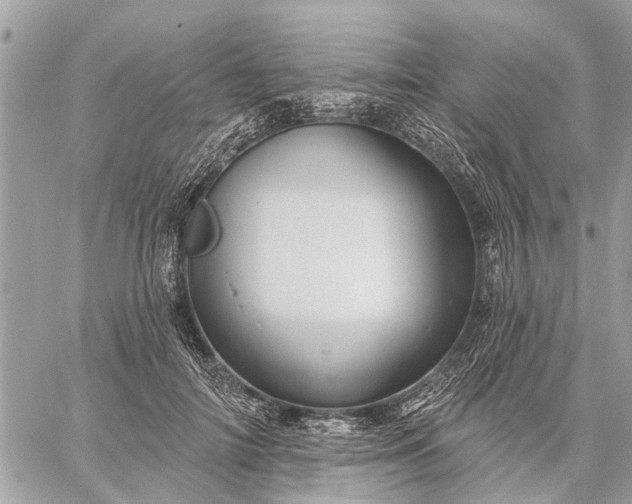 X0000059100698200510211633