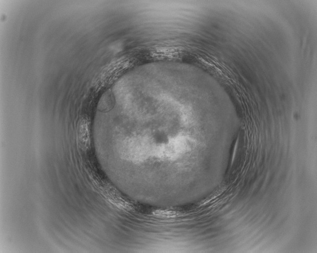 X0000059100699200510211633