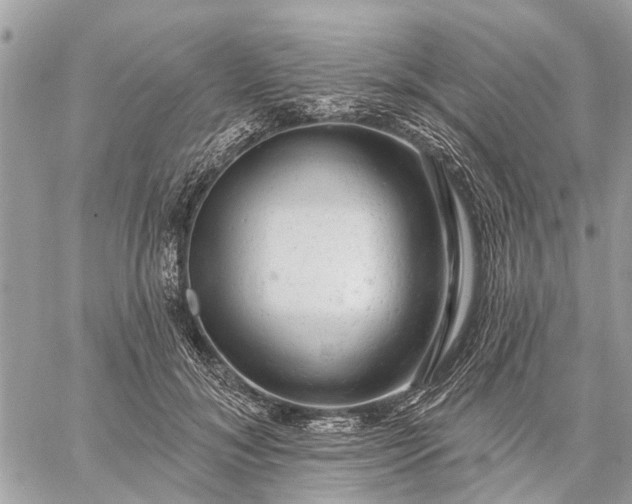 X0000059100700200510211633