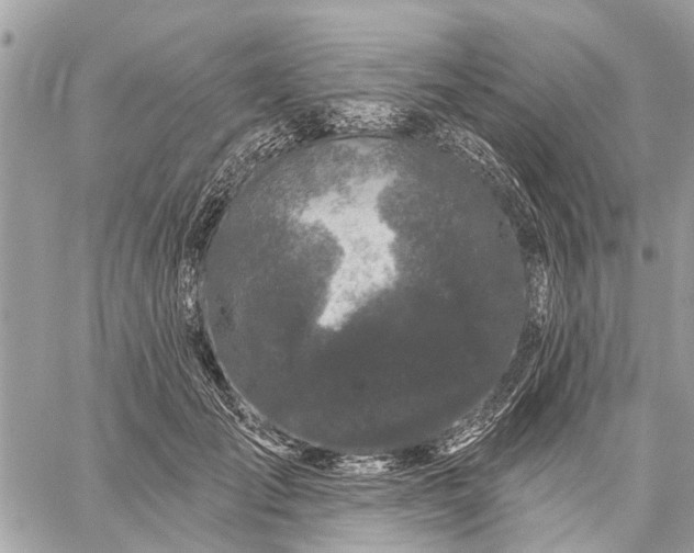 X0000059100701200510211633